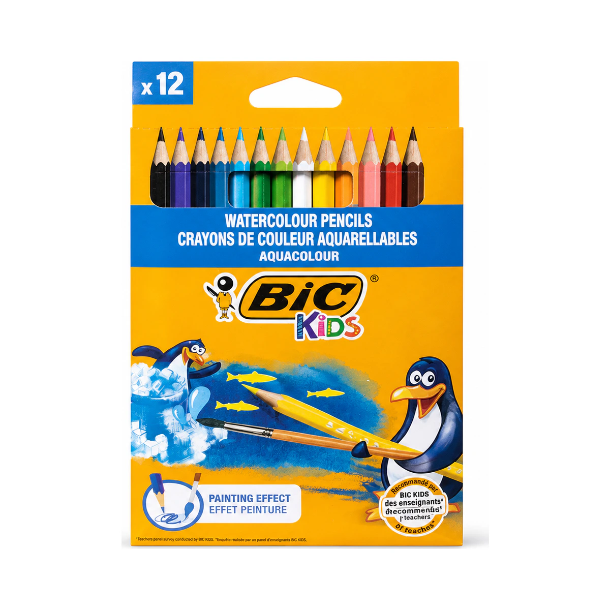 BİC AQUACOULEUR KURU SULU BOYA KALEMİ